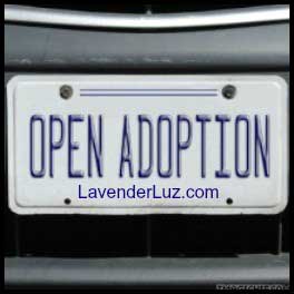 Open Adoption License Plate